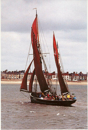 Lifetime Achievement Award 2009